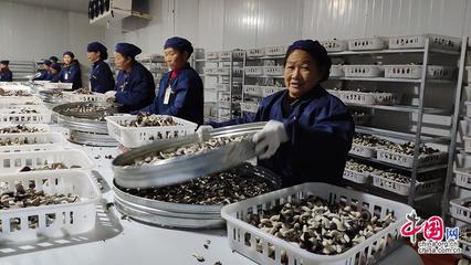 23省市2100余款產(chǎn)品齊聚全國(guó)菌博會(huì)，《中國(guó)食用菌產(chǎn)業(yè)年鑒》即將發(fā)布